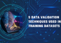 Validation Techniques Used to Detect Errors and Bias in AI Datasets
