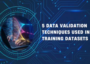 Validation Techniques Used to Detect Errors and Bias in AI Datasets