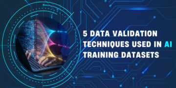 Validation Techniques Used to Detect Errors and Bias in AI Datasets